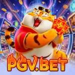 pgvbet Live Casino Pro